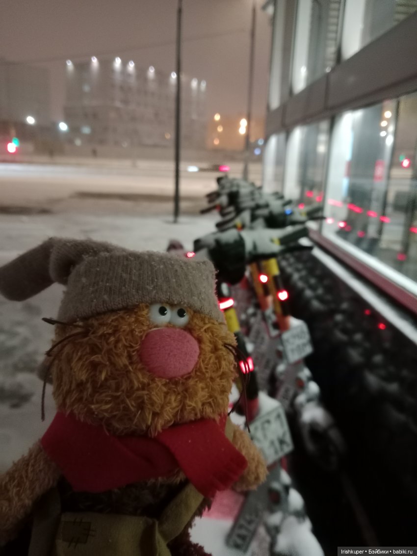 Репортаж кота Кортадо (Всероссийский молодежный фестиваль анимационного кино Гнездо)