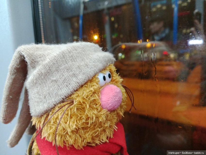 Репортаж кота Кортадо (Всероссийский молодежный фестиваль анимационного кино Гнездо)