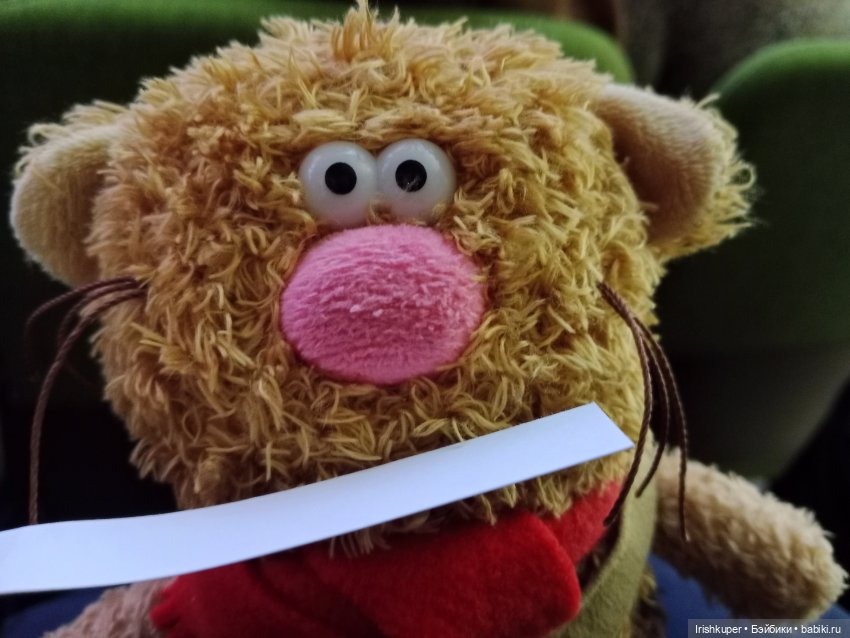 Репортаж кота Кортадо (Всероссийский молодежный фестиваль анимационного кино Гнездо)