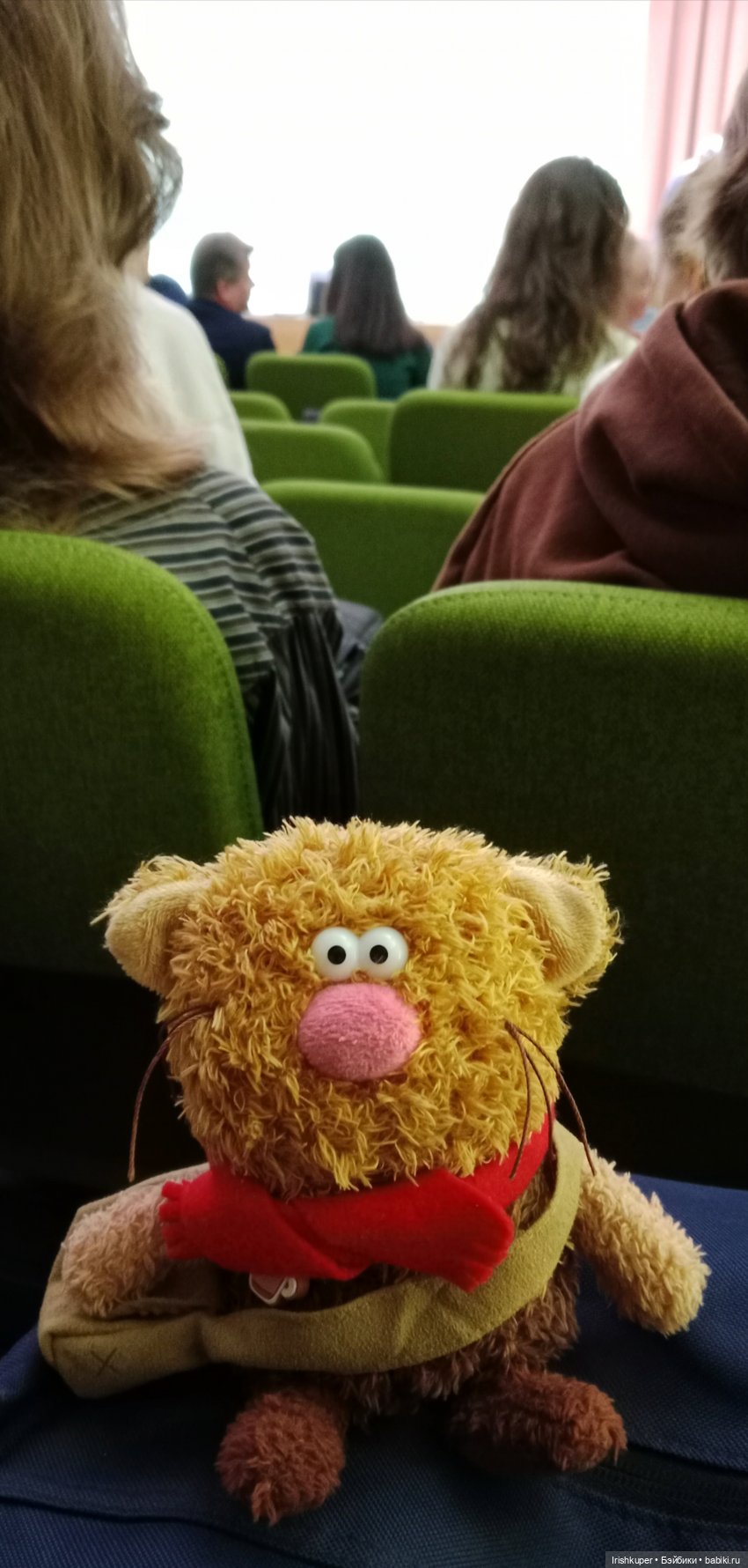 Репортаж кота Кортадо (Всероссийский молодежный фестиваль анимационного кино Гнездо)