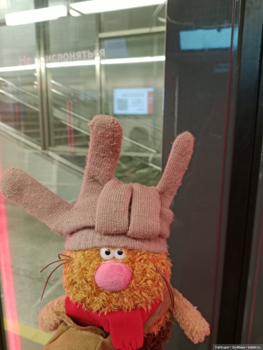 Репортаж кота Кортадо (Всероссийский молодежный фестиваль анимационного кино Гнездо)