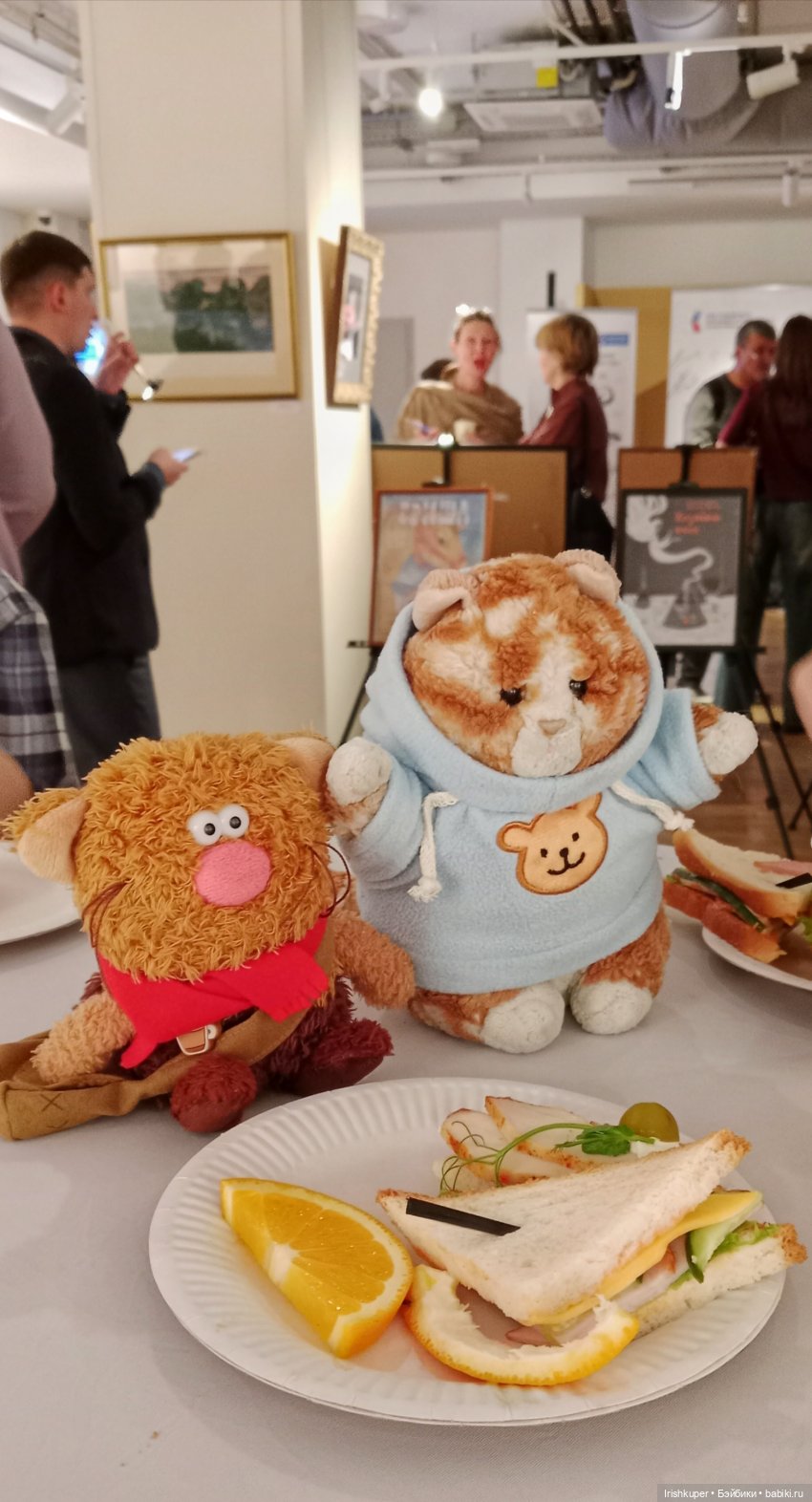 Репортаж кота Кортадо (Всероссийский молодежный фестиваль анимационного кино Гнездо)