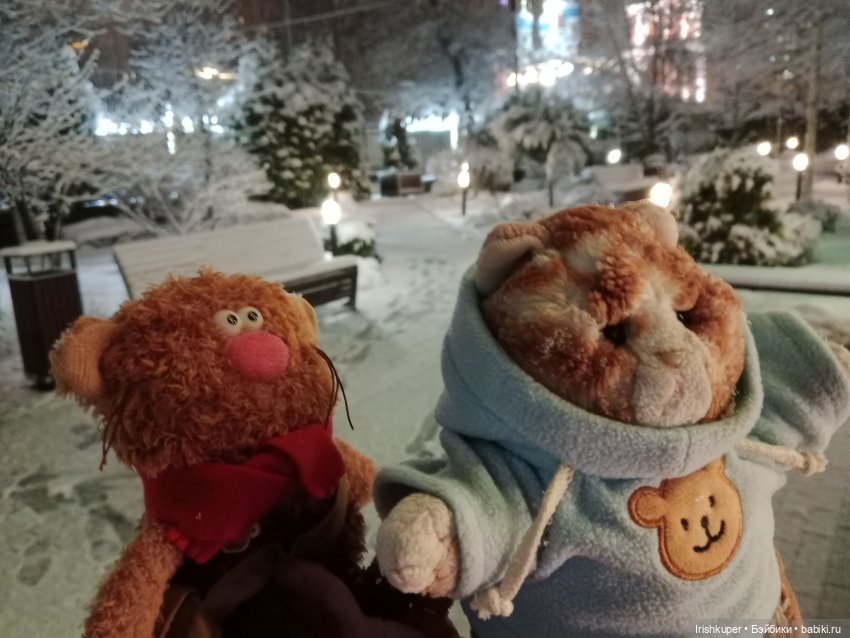 Репортаж кота Кортадо (Всероссийский молодежный фестиваль анимационного кино Гнездо)