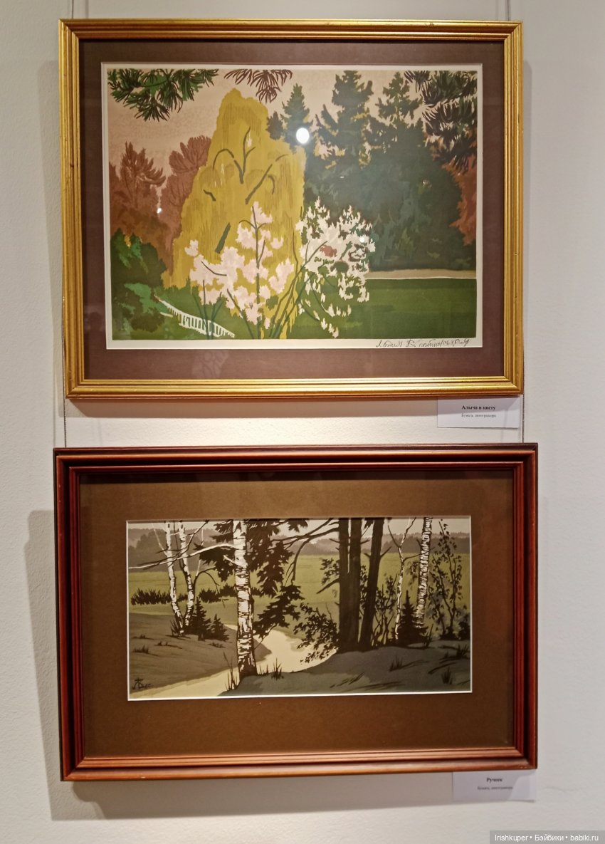 Репортаж кота Кортадо (Всероссийский молодежный фестиваль анимационного кино Гнездо)