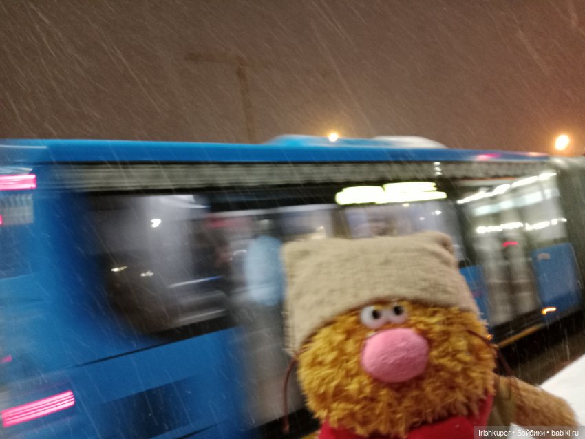 Репортаж кота Кортадо (Всероссийский молодежный фестиваль анимационного кино Гнездо)