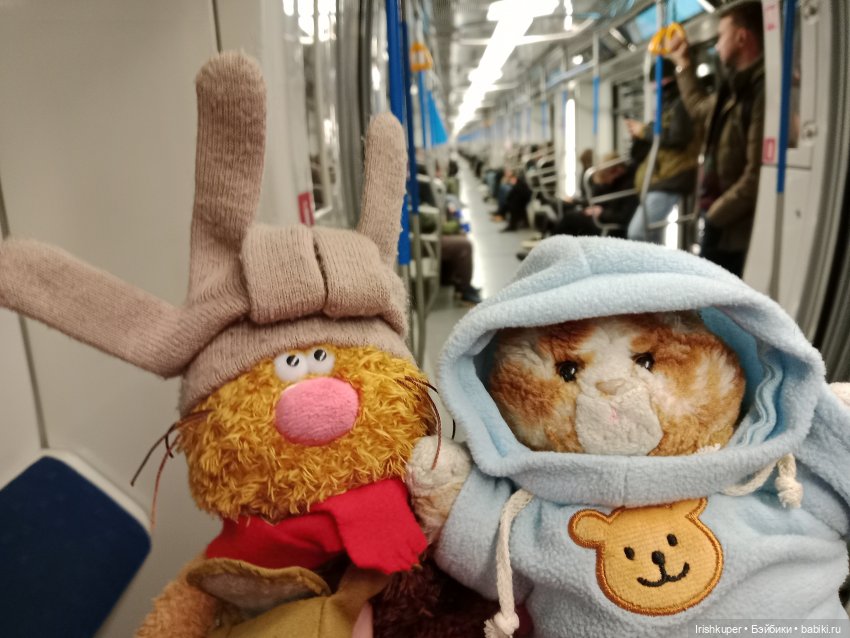 Репортаж кота Кортадо (Всероссийский молодежный фестиваль анимационного кино Гнездо)