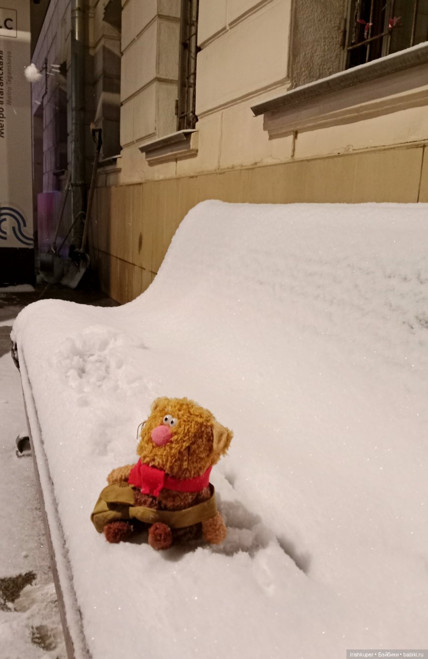 Репортаж кота Кортадо (Всероссийский молодежный фестиваль анимационного кино Гнездо)