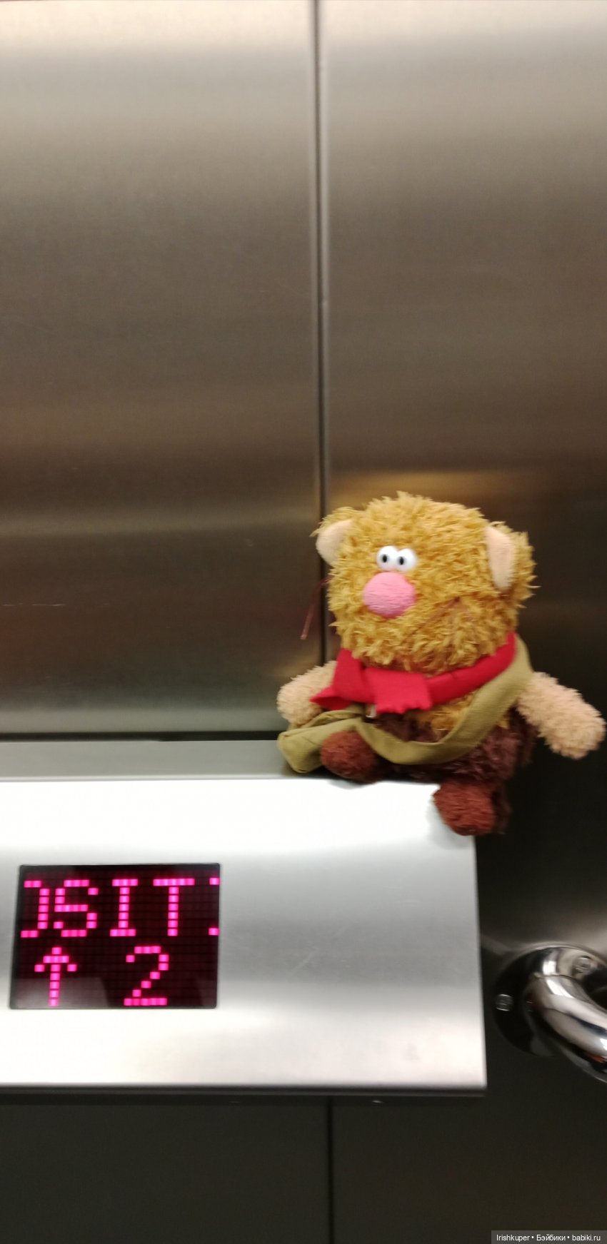 Репортаж кота Кортадо (Всероссийский молодежный фестиваль анимационного кино Гнездо) (фото 7)