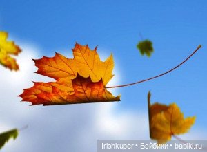 Осенняя хандра Кофейного кота Кортадо. Ноябрь 2025г