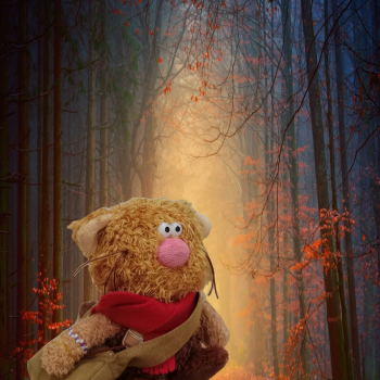 Осенняя хандра Кофейного кота Кортадо. Ноябрь 2025г.