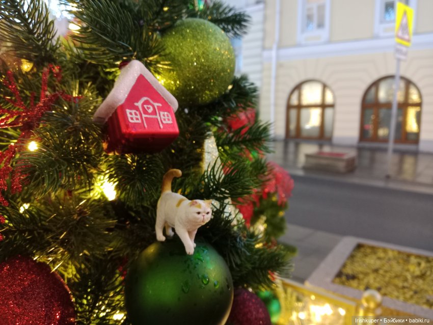 Новогоднее настроение! Мурзик, прогулка по Малой Дмитровке (фото 2)