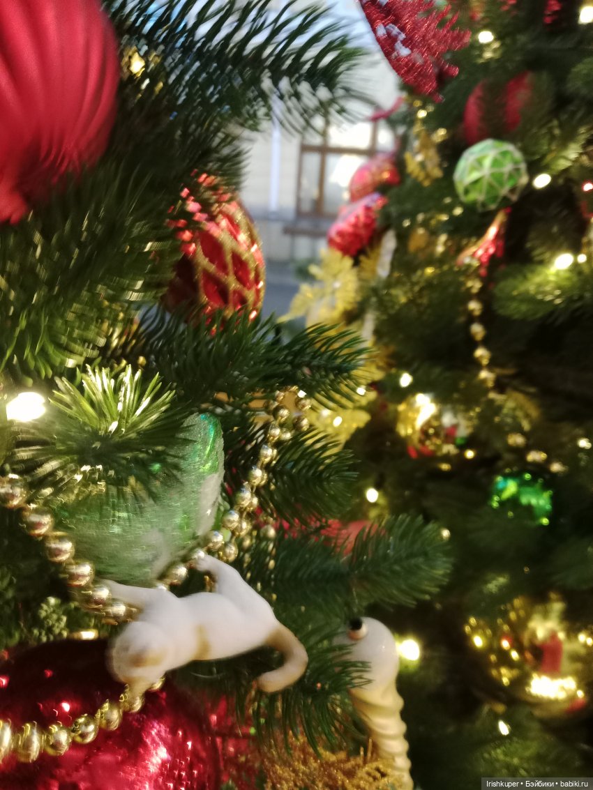 Новогоднее настроение! Мурзик, прогулка по Малой Дмитровке (фото 6)