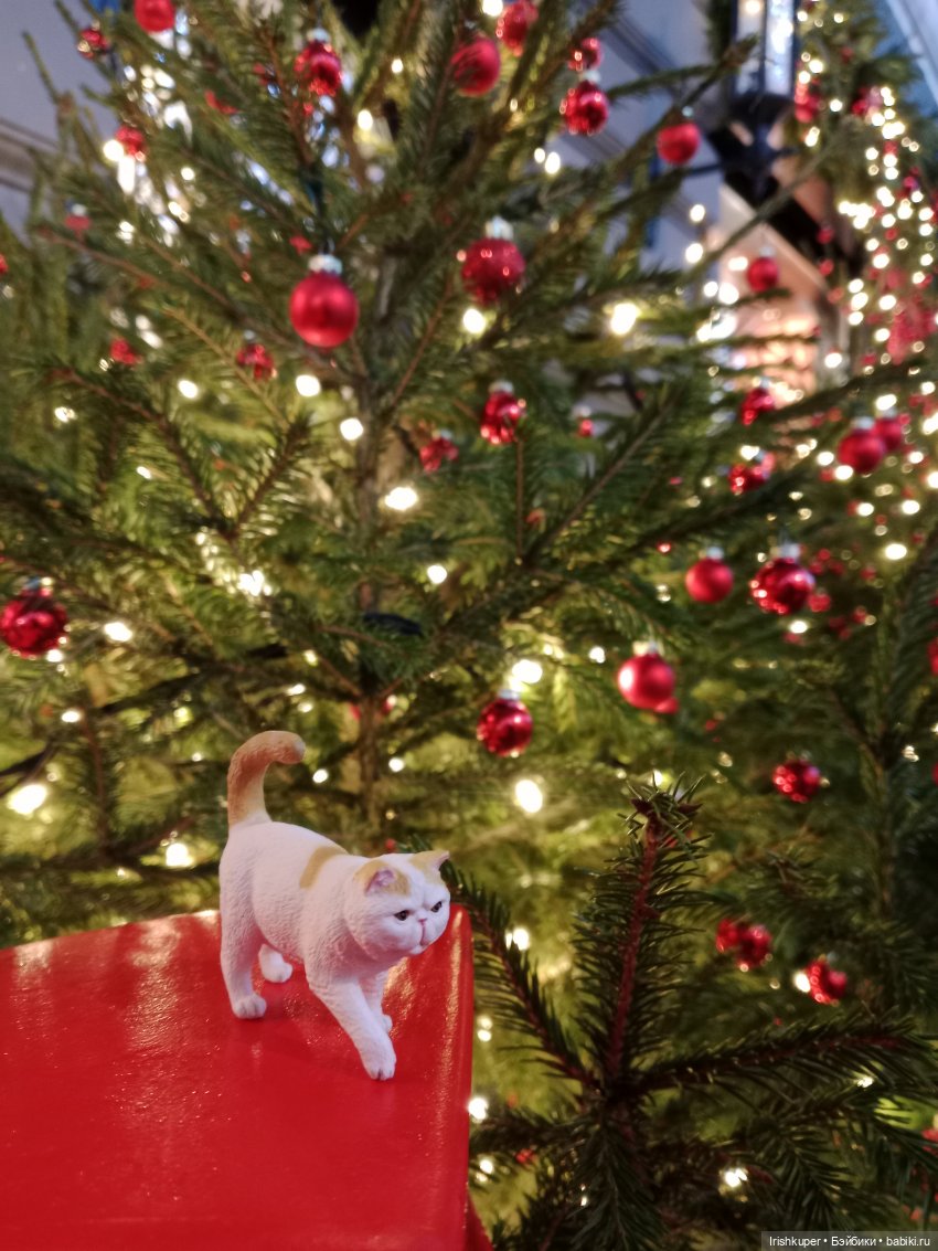 Новогоднее настроение! Мурзик, прогулка по Малой Дмитровке