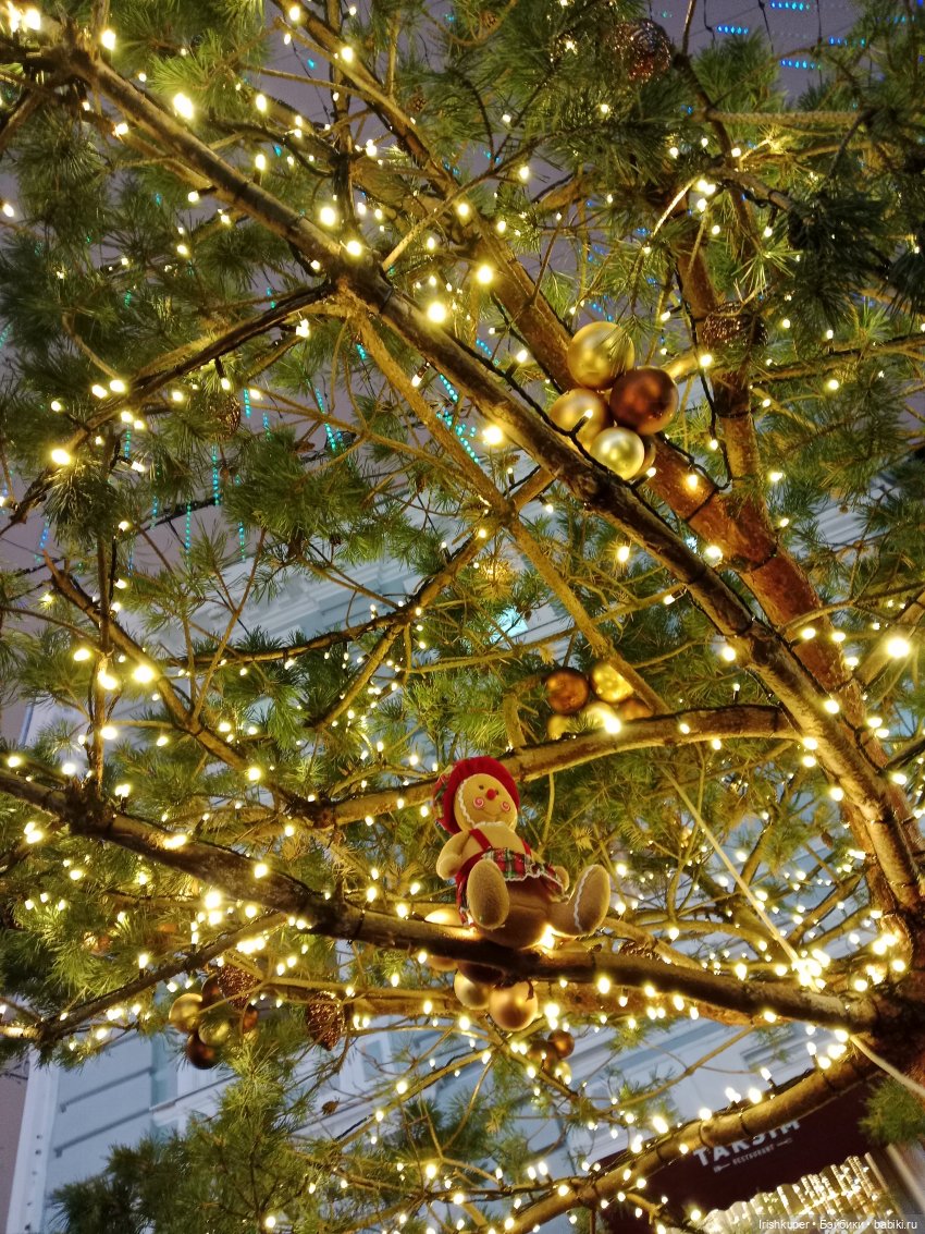 Новогоднее настроение! Мурзик, прогулка по Малой Дмитровке (фото 7)