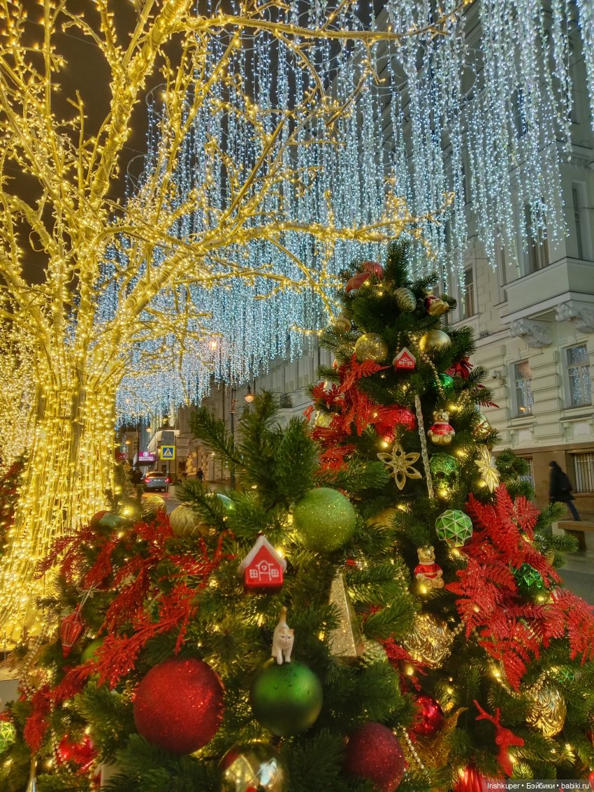 Новогоднее настроение! Мурзик, прогулка по Малой Дмитровке