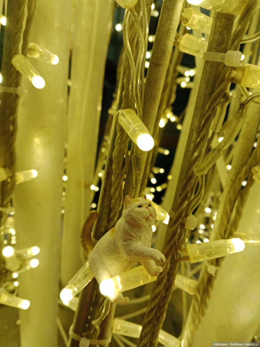 Новогоднее настроение! Мурзик, прогулка по Малой Дмитровке (фото 3)