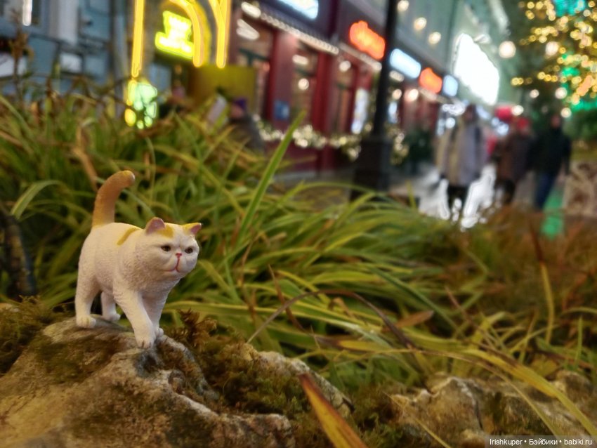 Новогоднее настроение! Мурзик, прогулка по Малой Дмитровке