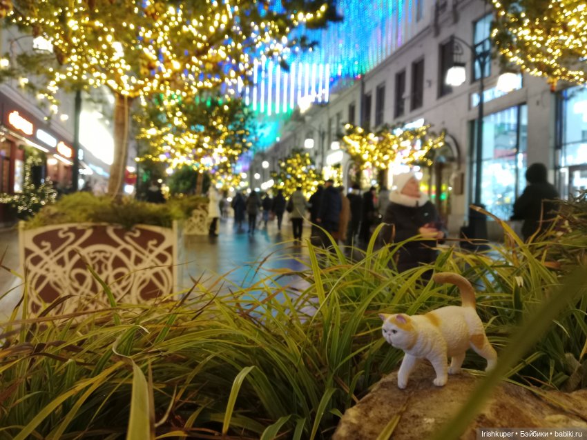 Новогоднее настроение! Мурзик, прогулка по Малой Дмитровке