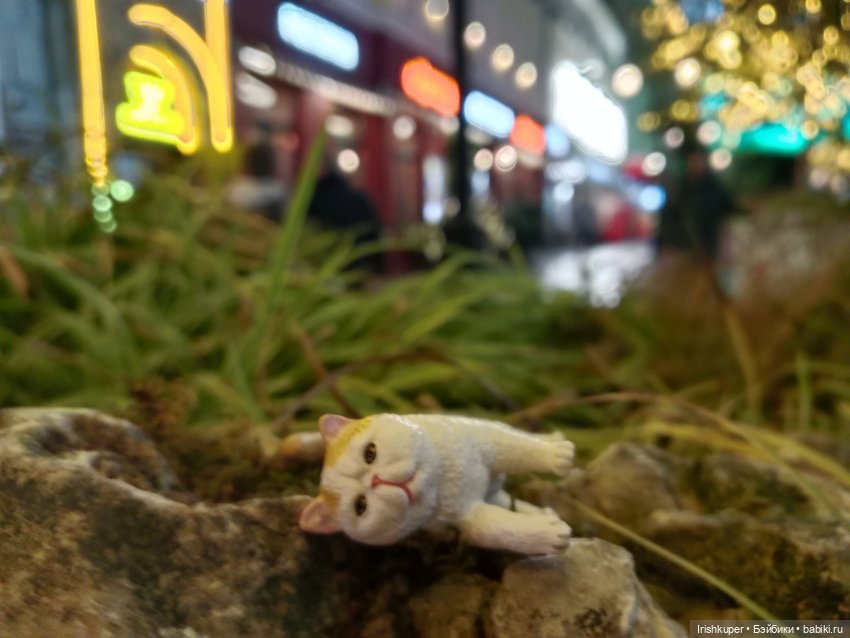 Новогоднее настроение! Мурзик, прогулка по Малой Дмитровке