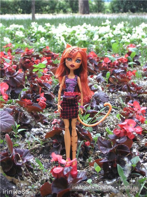 Монстр Хай... любовь с первого взгляда