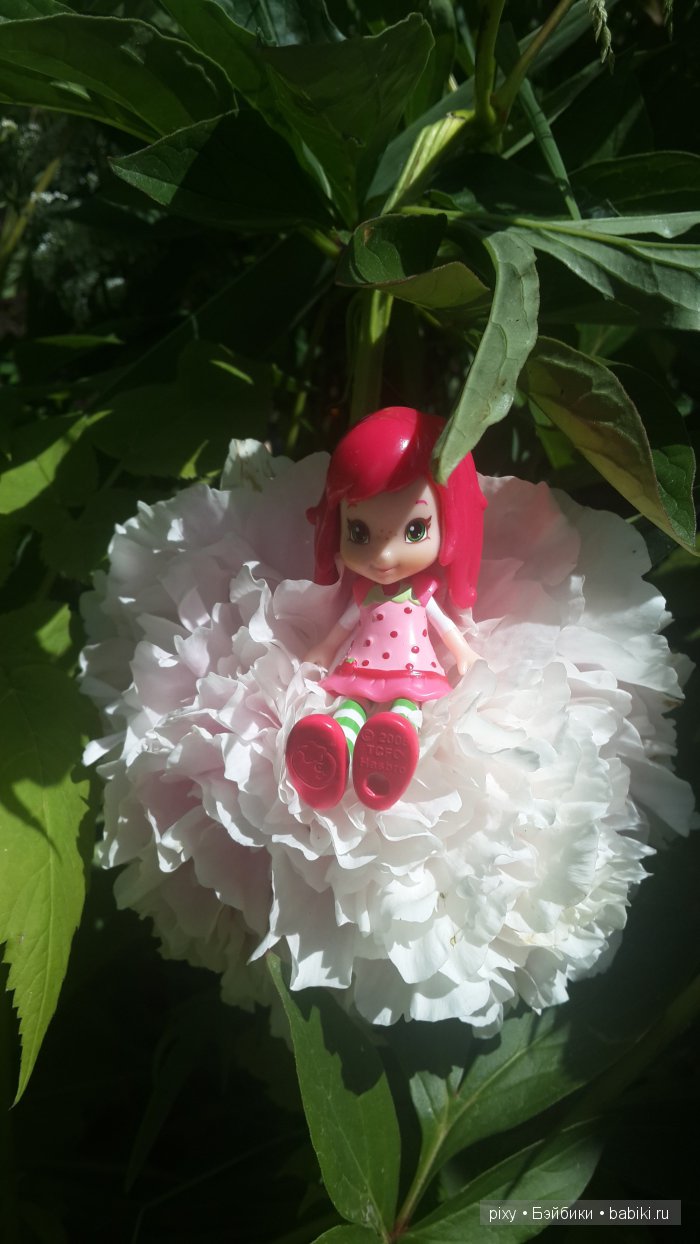 Мои любимые ягодные куколки