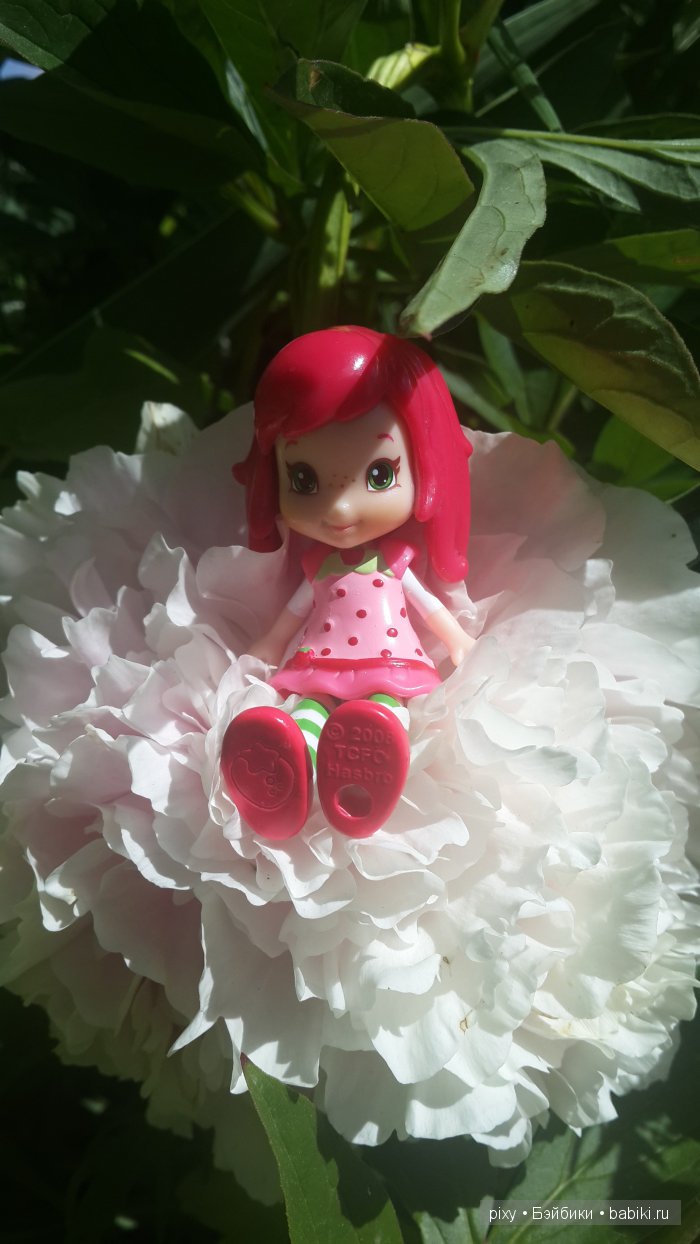 Мои любимые ягодные куколки (фото 8)