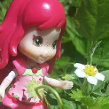 Мои любимые ягодные куколки