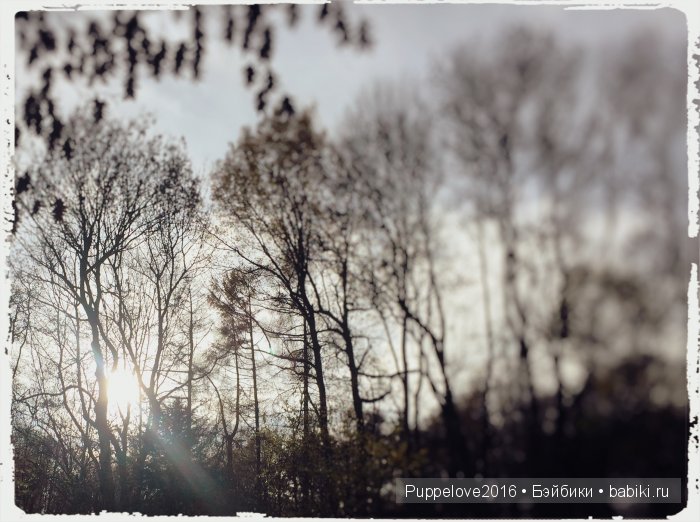 Топ-модель на все времена. Часть вторая