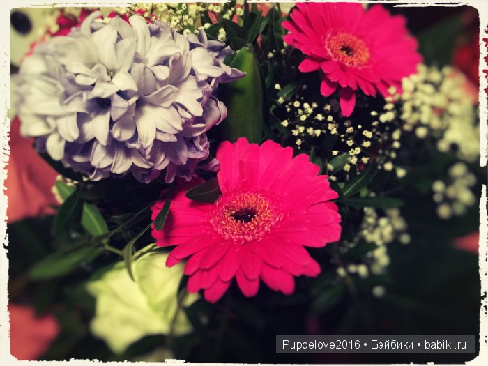 Топ-модель на все времена. Часть вторая