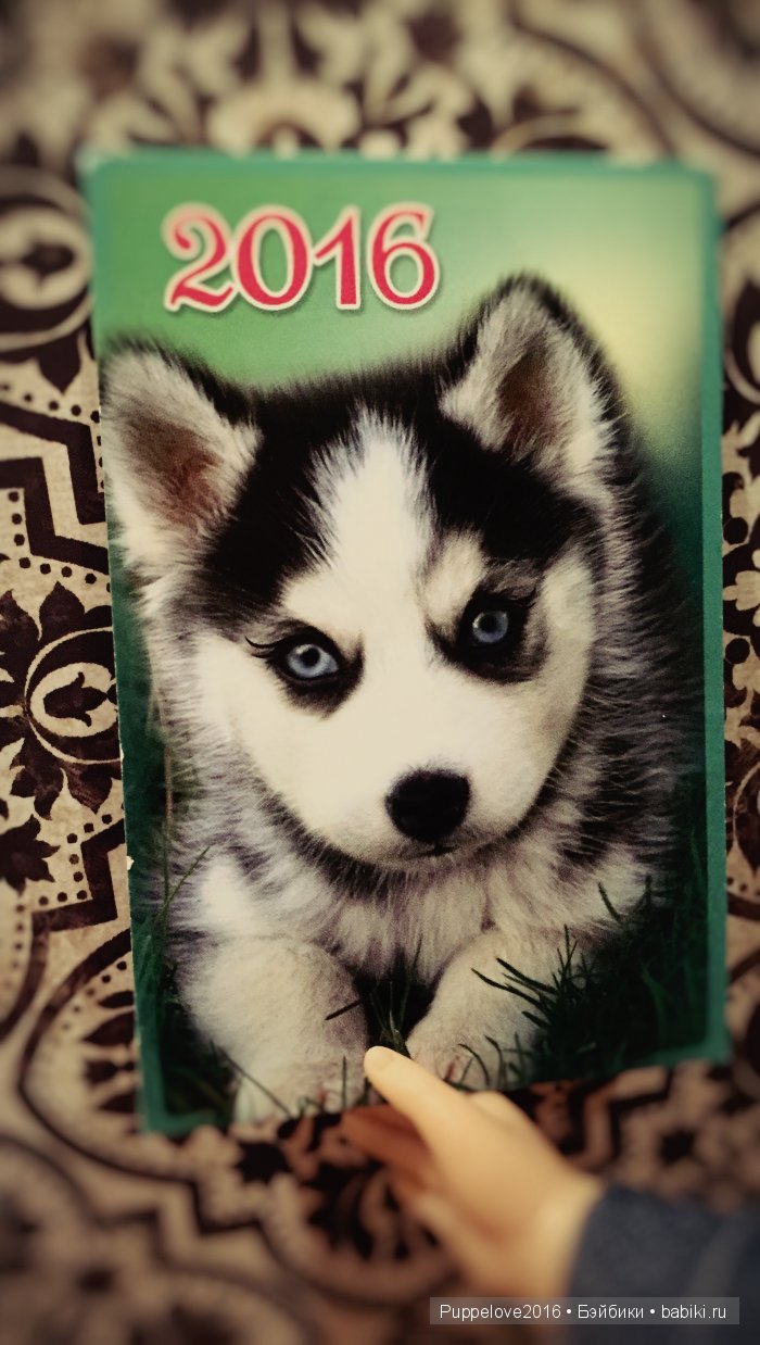 Топ-модель на все времена. Часть вторая