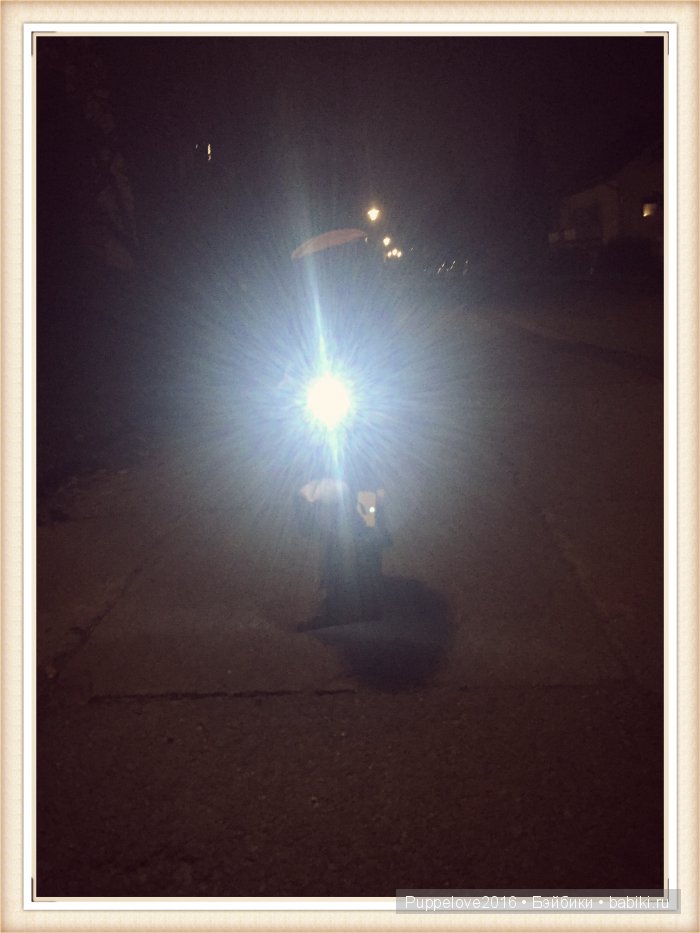 Подарок — Куклы Paola Reina (Паола Рейна): новинки (фото 4)