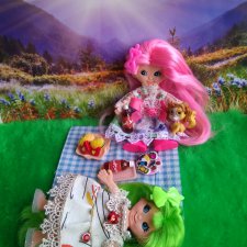 Пикник или лето посреди зимы. А также первая  юбка ту - ту и  первый снег