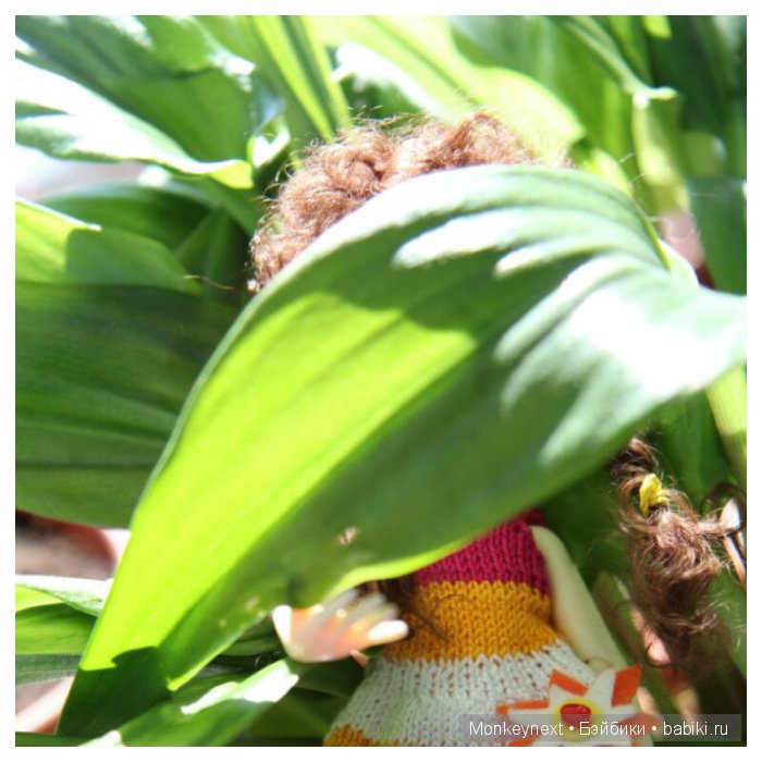 Как вам наша новая прическа (фото 3)