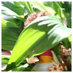 Как вам наша новая прическа?