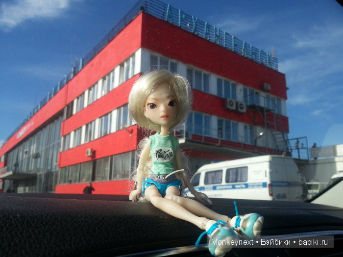 А вы видали, как цветет морошка (фото 2)