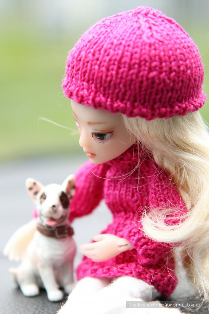 О том как котёнок ходил на выставку собак (фото 10)