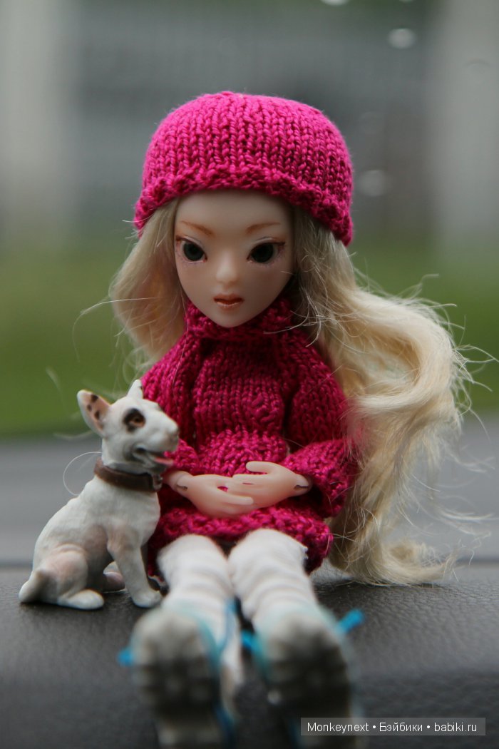 О том как котёнок ходил на выставку собак (фото 8)