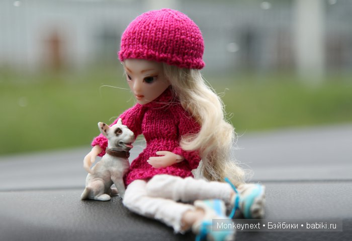 О том как котёнок ходил на выставку собак