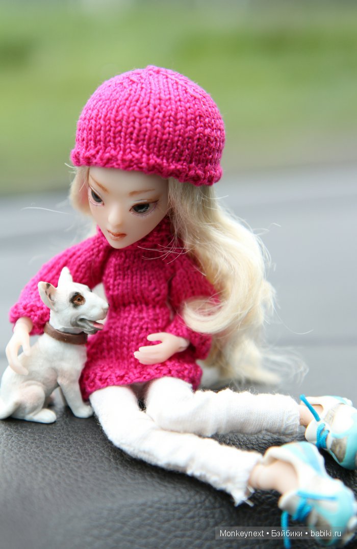 О том как котёнок ходил на выставку собак (фото 9)