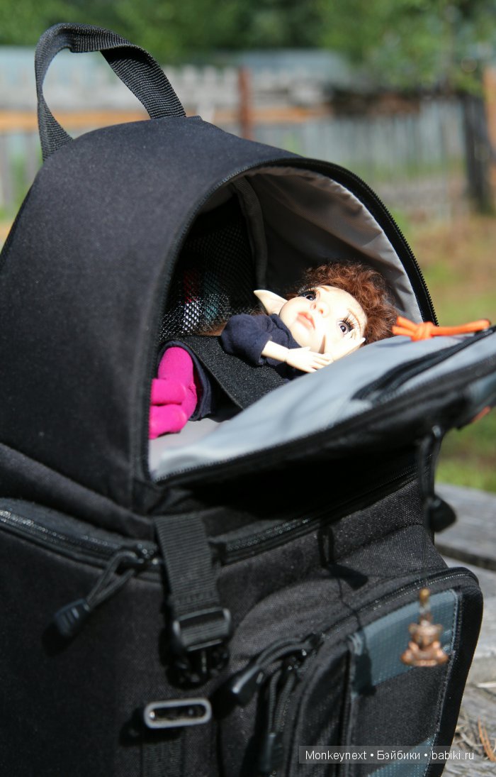 Прогулка для хорошего настроения (фото 2)