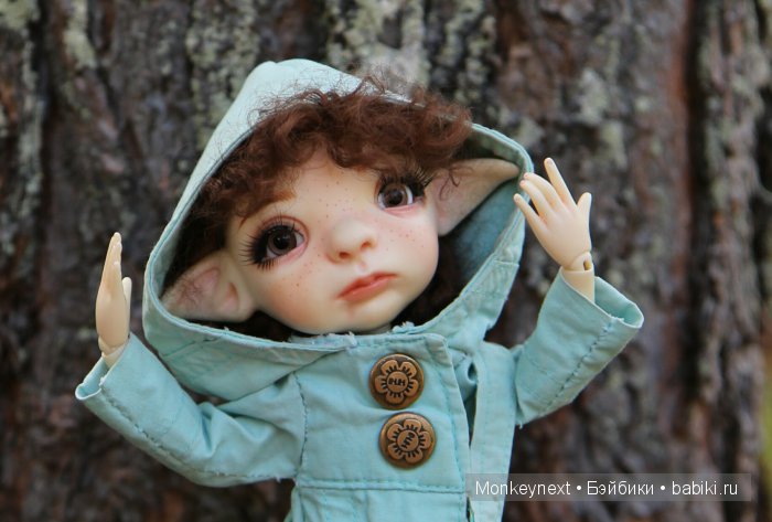 Вечерняя прогулка по лесу (фото 2)