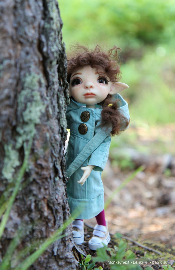 Вечерняя прогулка по лесу (фото 5)