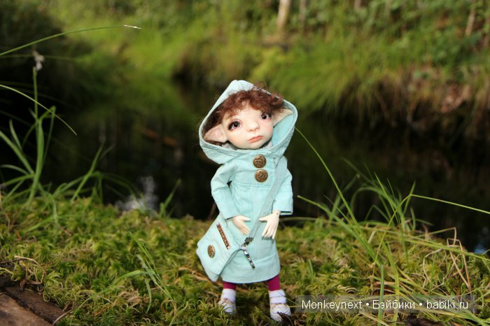 Вечерняя прогулка по лесу (фото 7)