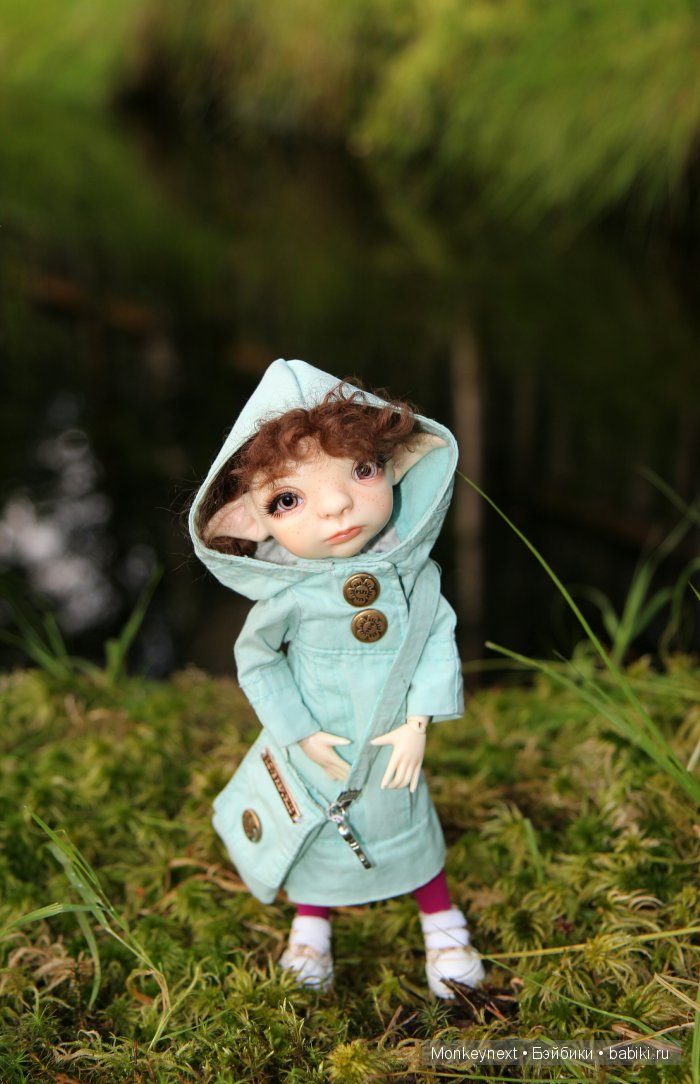 Вечерняя прогулка по лесу (фото 8)