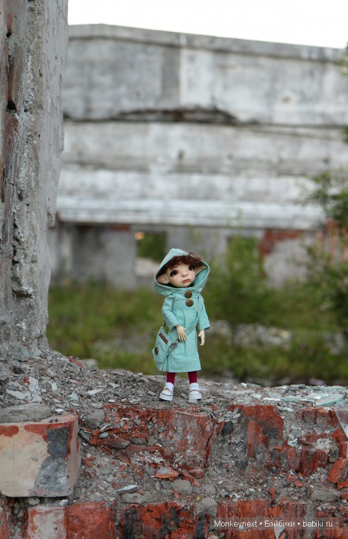 Вечерняя прогулка по лесу (фото 9)