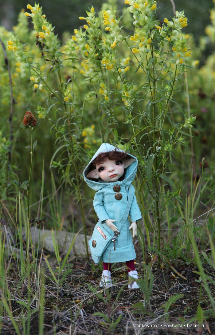 Вечерняя прогулка по лесу (фото 10)