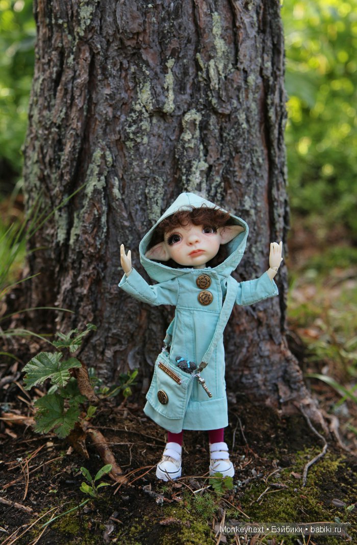 Вечерняя прогулка по лесу