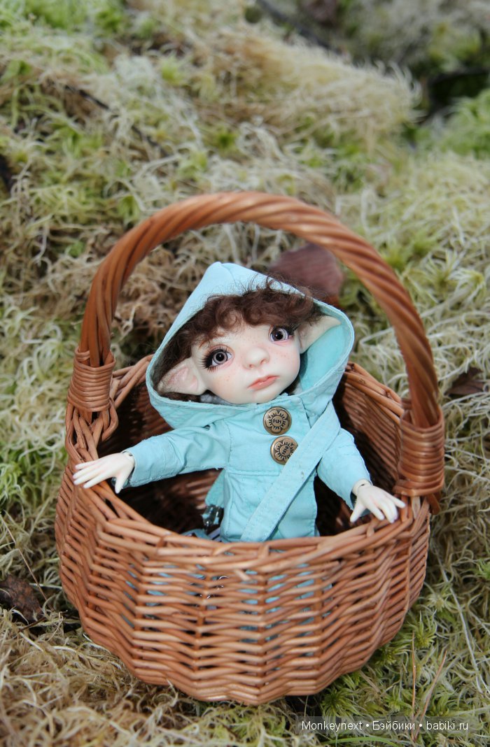 Вечерняя прогулка по лесу