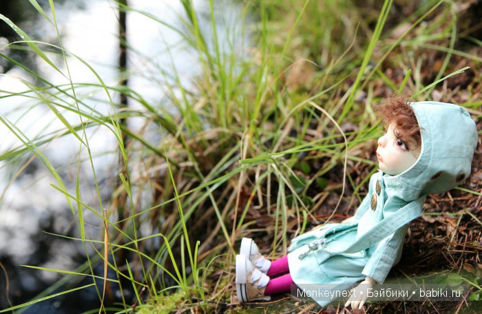 Вечерняя прогулка по лесу (фото 6)