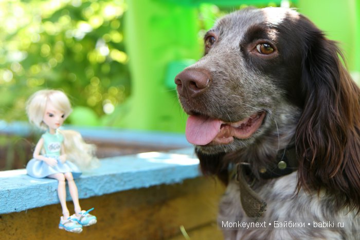 Незапланированные выходные. День первый